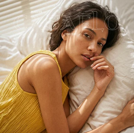 포트폴리오-AI Lookbook