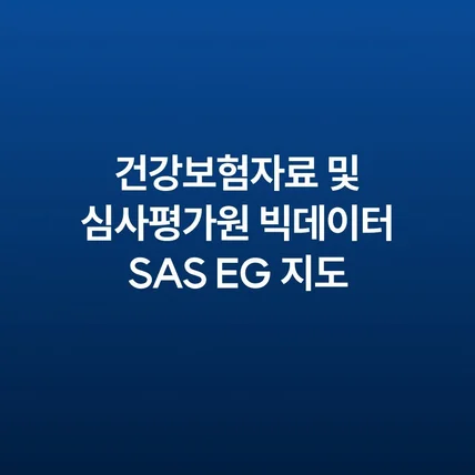 포트폴리오-건강보험자료 및 심사평가원 빅데이터 SAS EG 지도합니다.