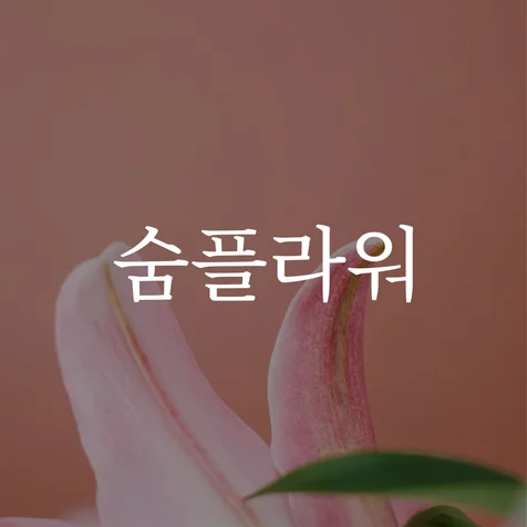 포트폴리오-미니멀 한글 텍스트 로고디자인 │ 숨플라워