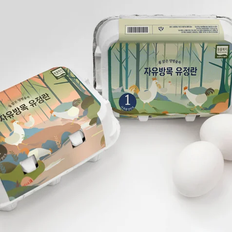 포트폴리오-계란패키지