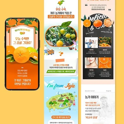 포트폴리오-감귤 상세페이지, 감귤 상세페이지 제작, 감귤상세페이지디자인, 쿠팡상세페이지, 스마트스토어