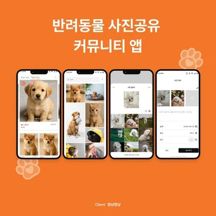 포트폴리오-반려동물 사진 커뮤니티 서비스 | 멍냥멍냥