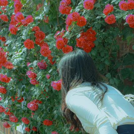 포트폴리오-[촬영/보정] 2024.05 해방촌 개인 스냅사진