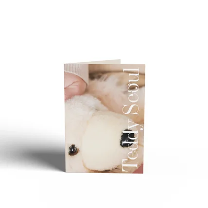포트폴리오-Teddy Seoul * 테디베어 브랜드