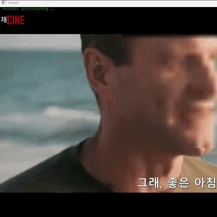 포트폴리오-영상을 실행시키면 얼굴 찾아 자동으로 모자이크/저장해주는 프로그램