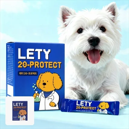 포트폴리오-AI 제품 및 모델 연출이미지