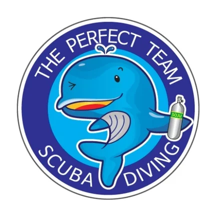 포트폴리오-스쿠버 다이빙 동호회의 돌고래 캐릭터형로고디자인 의뢰