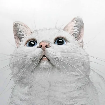 포트폴리오-사랑스런 반려동물 드로잉