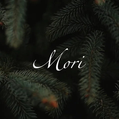 포트폴리오-미니멀 감성 브랜드 로고 디자인 – MORI