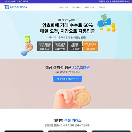 포트폴리오-테더백 웹사이트 디자인/개발