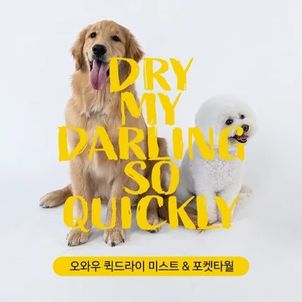 포트폴리오-클라우드 펀딩 플랫폼 와디즈-펀딩페이지 디자인