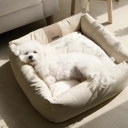 포트폴리오-[촬영/조명/모델/보정] 바비숑 강아지 방석, 카시트 제품 촬영