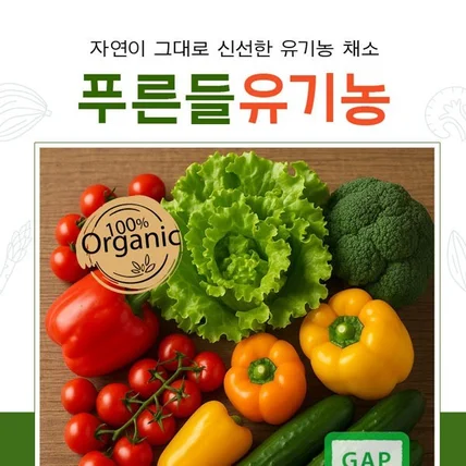 포트폴리오-푸른들 유기농 채소