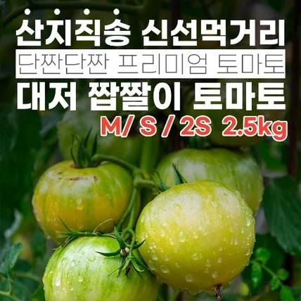 포트폴리오-대저토마토 상세페이지