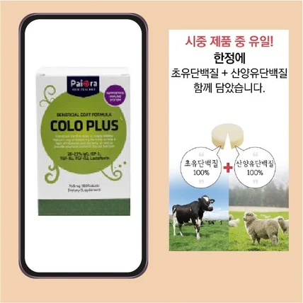 포트폴리오-[초유단백질 상세페이지]
