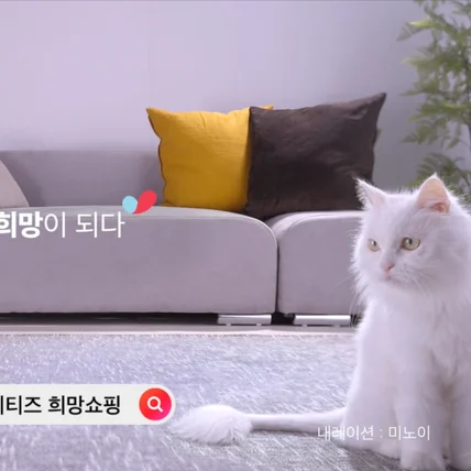 포트폴리오-[기획/촬영/편집] 11번가 11키티즈 제품 광고 영상 촬영 (로봇청소기 ver.)