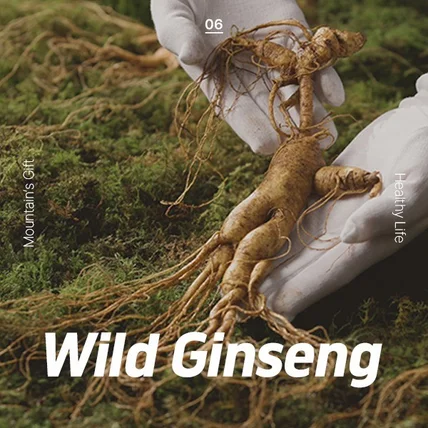 포트폴리오-황금알디자인 건강식품 상세페이지