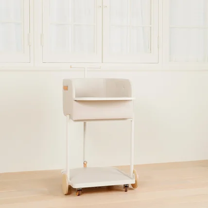 포트폴리오-[애견모델섭외/촬영/조명/보정] 25 반려동물 의자 브랜드 촬영