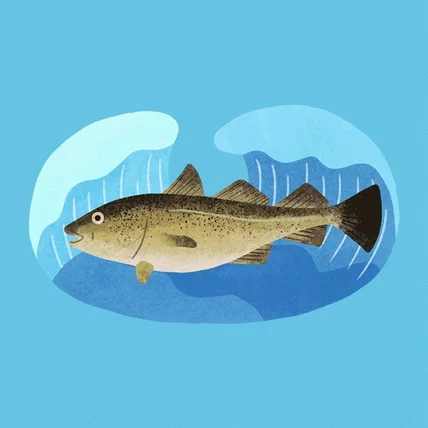 포트폴리오-이탈리아 파인다이닝 패키지 일러스트