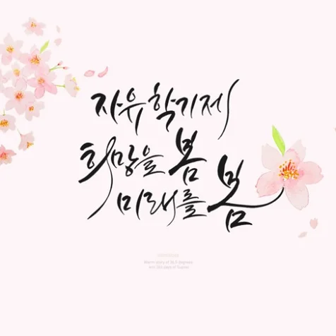포트폴리오-자유학기제 포토월 제작