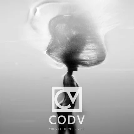 포트폴리오-패션브랜드 CODV