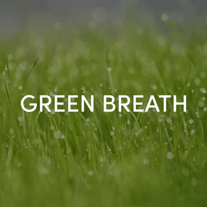 포트폴리오-친환경 미니멀 로고 디자인 | GREEN BREATH