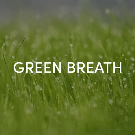 포트폴리오-친환경 미니멀 로고 디자인 | GREEN BREATH