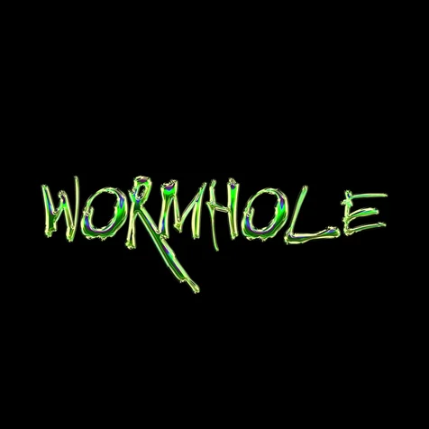 포트폴리오-WORMHOLE