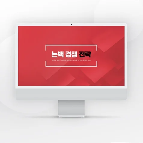 포트폴리오-논백 경쟁 전략
