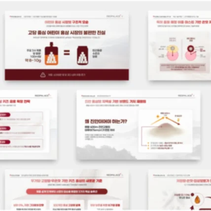 포트폴리오-회사소개서 PPT / IR 자료 피치덱 디자인 프로젝트