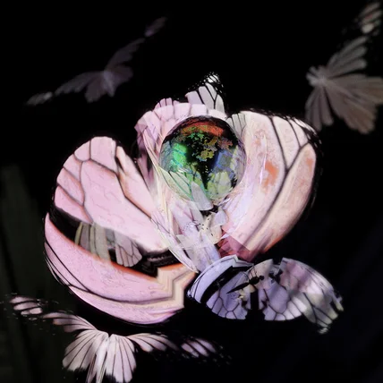 포트폴리오-BUGSLIFE - sooSoo