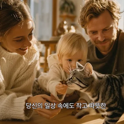 포트폴리오-글로벌 반려동물 기업 브랜디드 광고