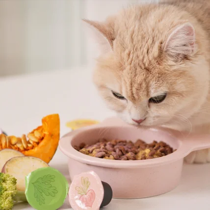 포트폴리오-[촬영/조명/모델]페네핏 반려동물 식품 촬영