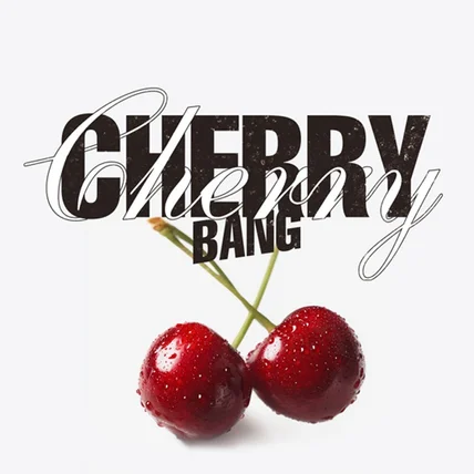 포트폴리오-Cherry Cherry Bang 의류 브랜드 디자인