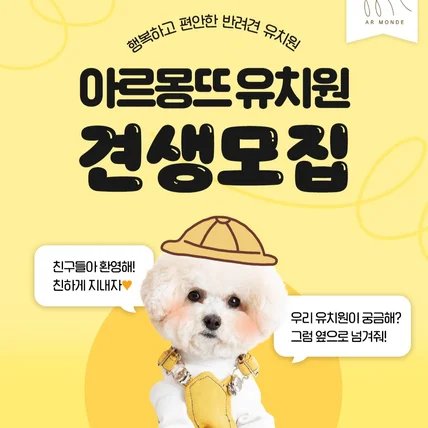 포트폴리오-[반려동물/강아지유치원/반려견] 광고소재 - 배너,카드뉴스,썸네일