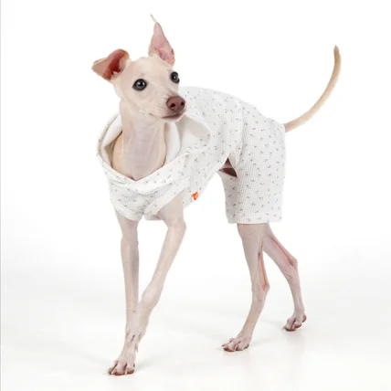 포트폴리오-[촬영/조명]25 S/S 강아지 의류브랜드 촬영