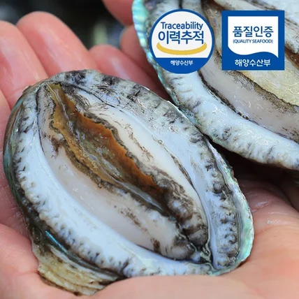 포트폴리오-#살아있는 활전복