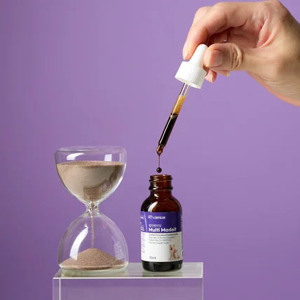 포트폴리오-[촬영/조명/연출/보정] 멀티메이딧 브랜드 신규제품 강아지 영양제 사진 촬영