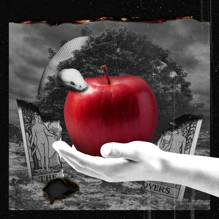 포트폴리오-[Layer Sound] 피에타-데미안 아트웍