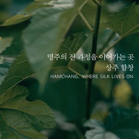 포트폴리오-(브랜드 필름 기획/촬영/편집) 함창명주 브랜드 필름