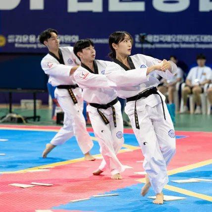포트폴리오-[촬영] HAESI 김운용컵 국제오픈 태권도 대회 스냅 촬영
