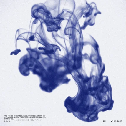 포트폴리오-Zn - Which Blue 앨범커버