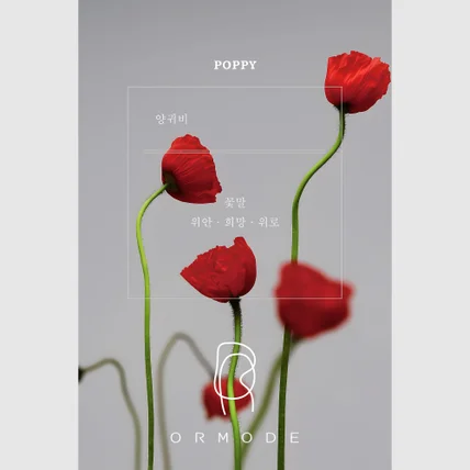 포트폴리오-[기획/AI연출/후보정] ORMODE(오르모드) 브랜드 - 무드컷