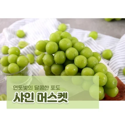 포트폴리오-샤인머스켓 상세페이지