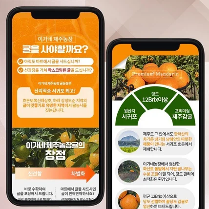 포트폴리오-제주감귤 농장