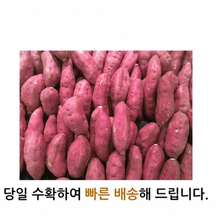 포트폴리오-고구마 상세페이지 제작