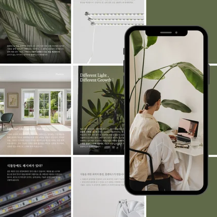 포트폴리오-식물생장조명 브랜드 피드 스타일링
