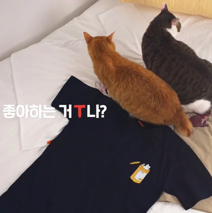 포트폴리오-[기획/촬영/편집] 11번가 11키티즈 제품 광고 영상 촬영 (티셔츠 ver.)
