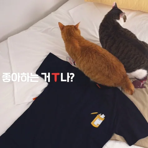 포트폴리오-[기획/촬영/편집] 11번가 11키티즈 제품 광고 영상 촬영 (티셔츠 ver.)