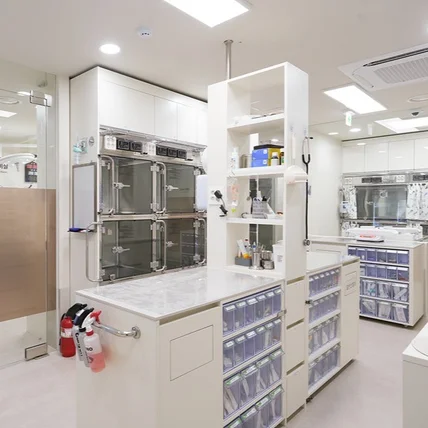 포트폴리오-[사진촬영] 서울 동물병원 사진촬영